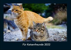 Für Katzenfreunde 2022 Fotokalender DIN A4 - Tobias Becker