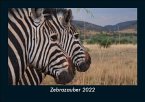 Zebrazauber 2022 Fotokalender DIN A5