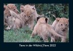 Tiere in der WildnisTiere 2022 Fotokalender DIN A4