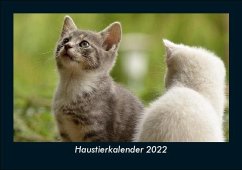 Haustierkalender 2022 Fotokalender DIN A5 - Tobias Becker
