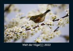 Welt der Vögel 2022 Fotokalender DIN A5 - Tobias Becker