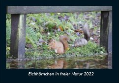 Eichhörnchen in freier Natur 2022 Fotokalender DIN A4 - Tobias Becker