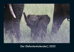 Der Elefantenkalender 2022 Fotokalender DIN A4 - Tobias Becker