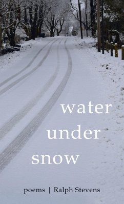 Water under Snow - Stevens, Ralph