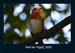 Welt der Vögel 2022 Fotokalender DIN A4 - Tobias Becker