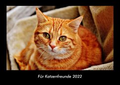 Für Katzenfreunde 2022 Fotokalender DIN A3 - Tobias Becker