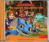 Dragons - Die jungen Drachenretter