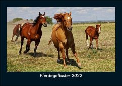 Pferdegeflüster 2022 Fotokalender DIN A5 - Tobias Becker