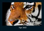 Tiger 2022 Fotokalender DIN A4