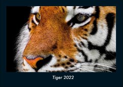 Tiger 2022 Fotokalender DIN A4 - Tobias Becker