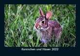 Kaninchen und Hasen 2022 Fotokalender DIN A5