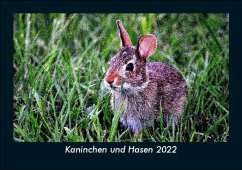 Kaninchen und Hasen 2022 Fotokalender DIN A5 - Tobias Becker