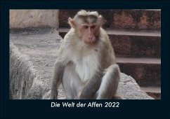 Die Welt der Affen 2022 Fotokalender DIN A5 - Tobias Becker
