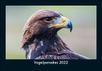 Vogelparadies 2022 Fotokalender DIN A5