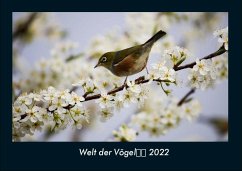 Welt der Vögel 2022 Fotokalender DIN A4 - Tobias Becker
