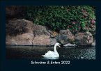 Schwäne & Enten 2022 Fotokalender DIN A5