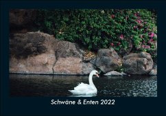 Schwäne & Enten 2022 Fotokalender DIN A5 - Tobias Becker
