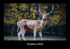 Waldtiere 2022 Fotokalender DIN A3 - Tobias Becker