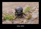 Käfer 2022 Fotokalender DIN A3