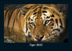 Tiger 2022 Fotokalender DIN A5