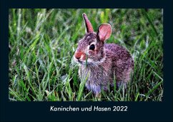 Kaninchen und Hasen 2022 Fotokalender DIN A4 - Tobias Becker