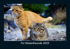 Für Katzenfreunde 2022 Fotokalender DIN A5 - Tobias Becker