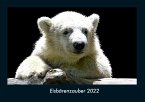 Eisbärenzauber 2022 Fotokalender DIN A4