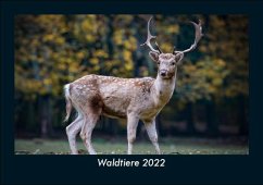 Waldtiere 2022 Fotokalender DIN A5 - Tobias Becker