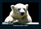 Eisbärenzauber 2022 Fotokalender DIN A5