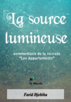 La source lumineuse (eBook, ePUB) - DJEBIHA, Farid