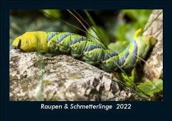 Raupen & Schmetterlinge 2022 Fotokalender DIN A5 - Tobias Becker