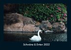 Schwäne & Enten 2022 Fotokalender DIN A4