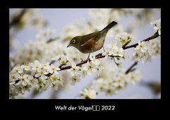 Welt der Vögel 2022 Fotokalender DIN A3 - Tobias Becker