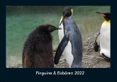 Pinguine & Eisbären 2022 Fotokalender DIN A4