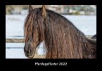 Pferdegeflüster 2022 Fotokalender DIN A3