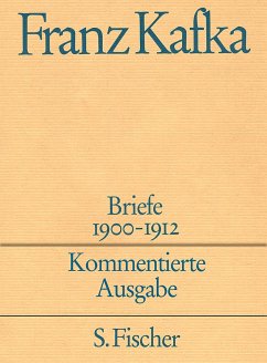 Briefe 1900-1912 / Briefe Franz Kafka Bd.1 (kritische Ausgabe) 