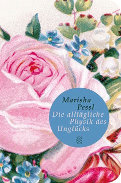 Die alltägliche Physik des Unglücks (Mängelexemplar) - Pessl, Marisha