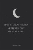 Eine Stunde hinter Mitternacht (eBook, ePUB)