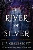 The River of Silver (eBook, ePUB)