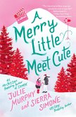 A Merry Little Meet Cute (eBook, ePUB)
