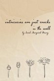 intricacies are just cracks in the wall (eBook, ePUB)