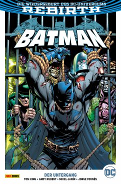 Batman - Bd. 11 (2. Serie): Der Untergang (eBook, ePUB) - Tom King