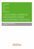 Cuestiones jurídicas relevantes sobre la economía conyugal (eBook, ePUB)