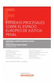 Estudios procesales sobre el espacio europeo de justicia penal (eBook, ePUB)