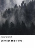 Between the fronts (eBook, ePUB)