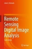 Remote Sensing Digital Image Analysis (eBook, PDF)
