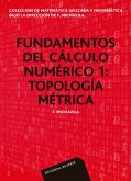 Fundamentos del cálculo numérico 1. Topología métrica (Colección de matemática aplicada e informática) (eBook, PDF)