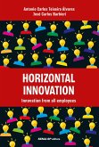 Horizontal Innovation (eBook, ePUB)