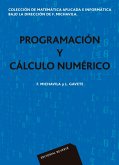 Programación y cálculo numérico (Colección de matemática aplicada e informática) (eBook, PDF)