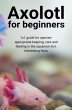 Axolotl for beginners - Bild 1